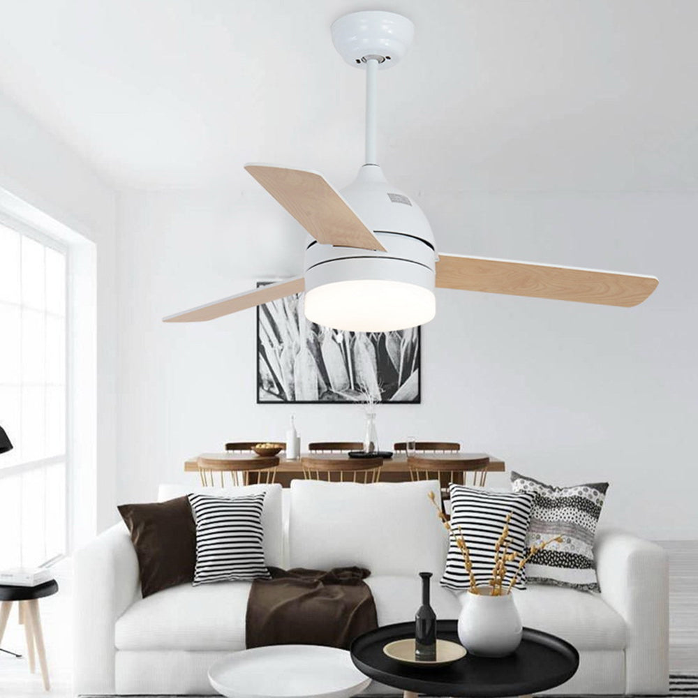Haydn 3-Blade Modern, DC Ceiling Fan with Light, Black/White, Summer, 42'' - Lumpaz