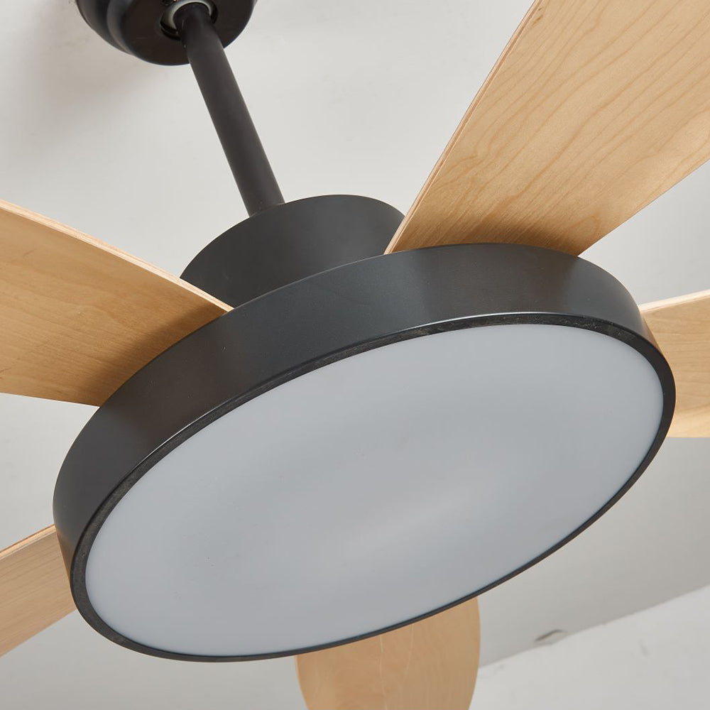 Haydn 5-Blade White & Black  DC Ceiling Fan with Light, Summer, 47.2''/51.2''/55.1'' - Lumpaz