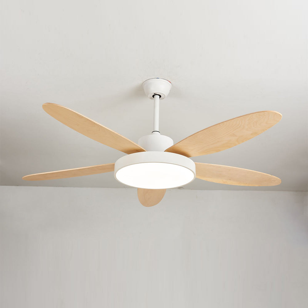 Haydn 5-Blade White & Black  DC Ceiling Fan with Light, Summer, 47.2''/51.2''/55.1'' - Lumpaz