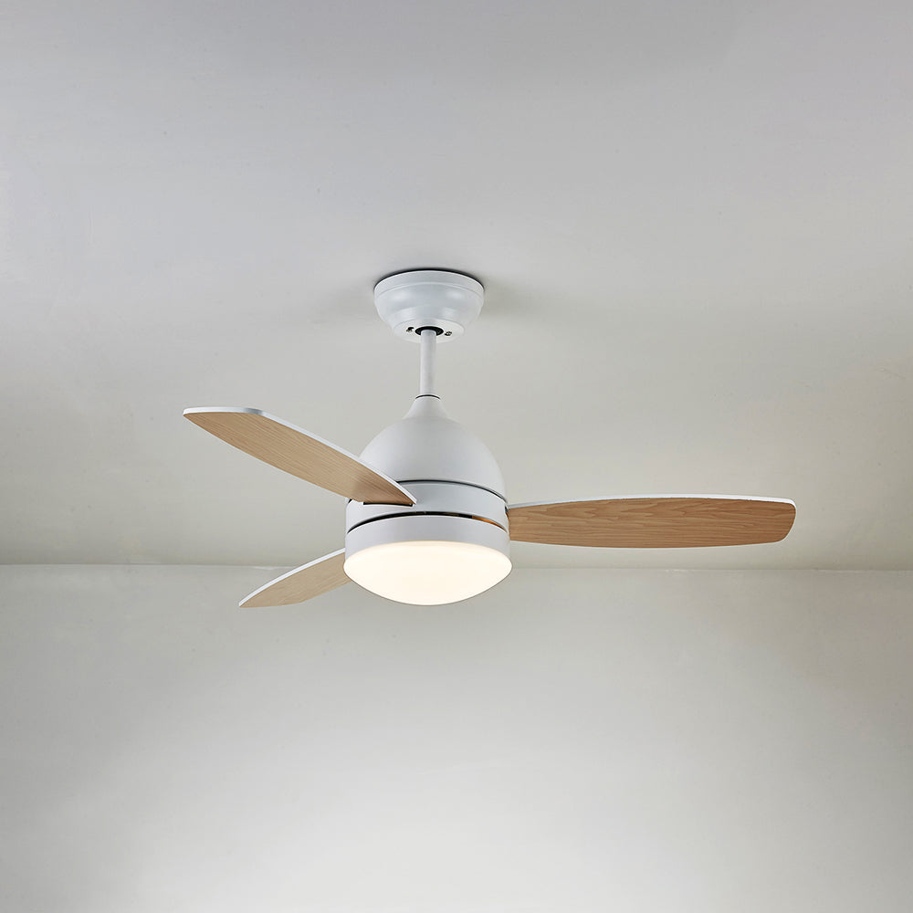 Haydn 3-Blade DC Modern Ceiling Fan with Light, Summer, 41'' - Lumpaz