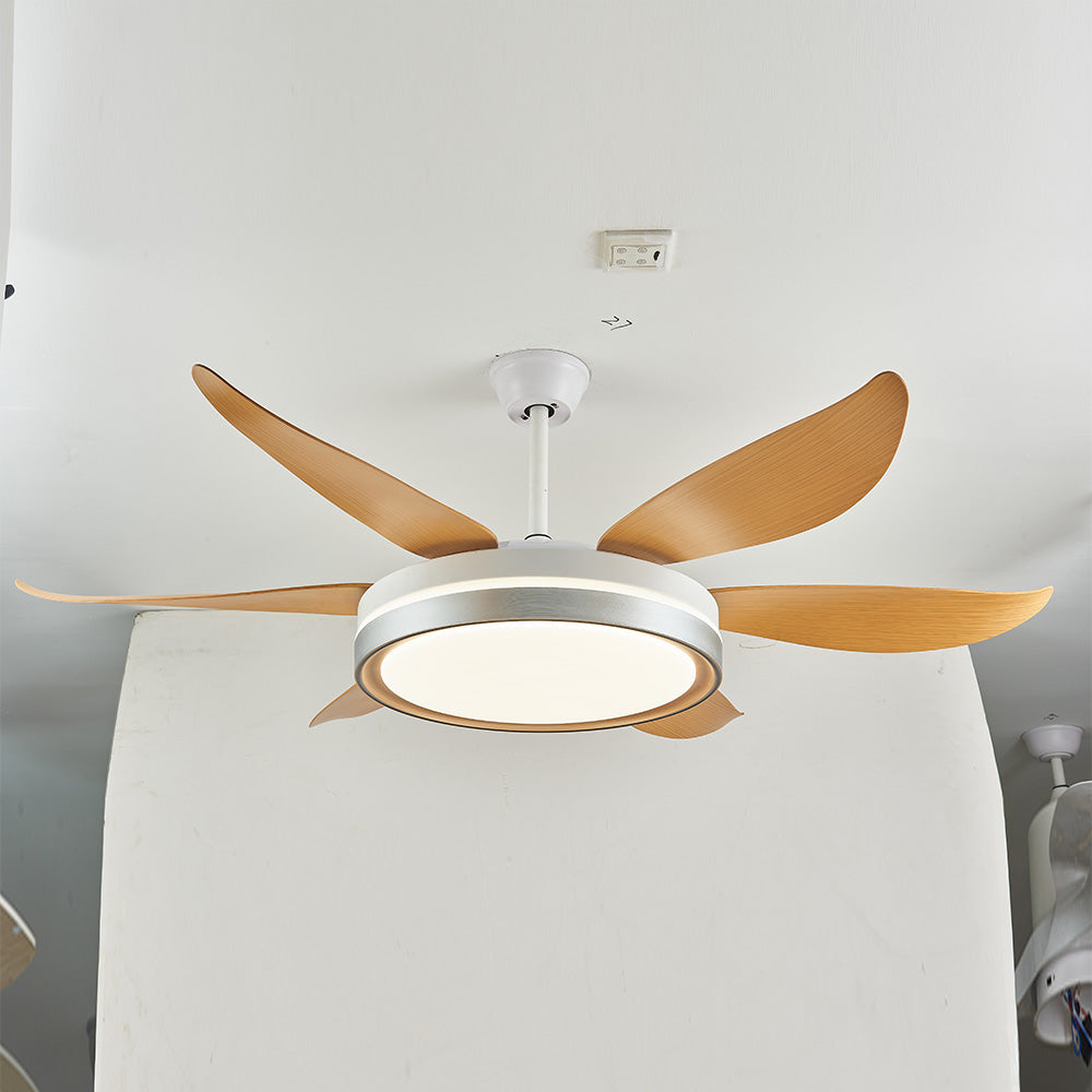 Haydn 6-Blade DC Fan with Light, Silver & Gold, Metal & Acrylic & ABS, Bedroom - Lumpaz