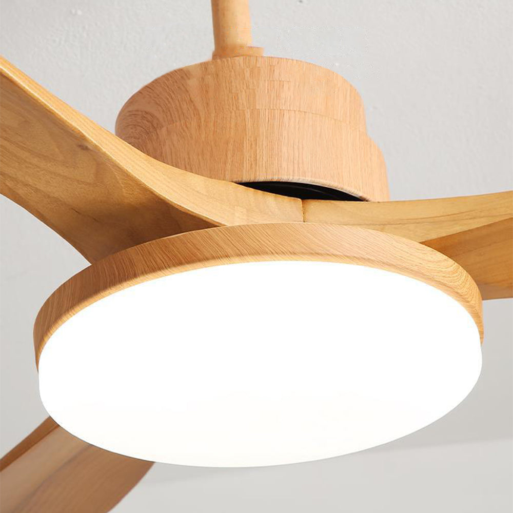 Haydn 5-Blade DC Ceiling Fan with Light, Summer, Black & Wood, 52'' - Lumpaz