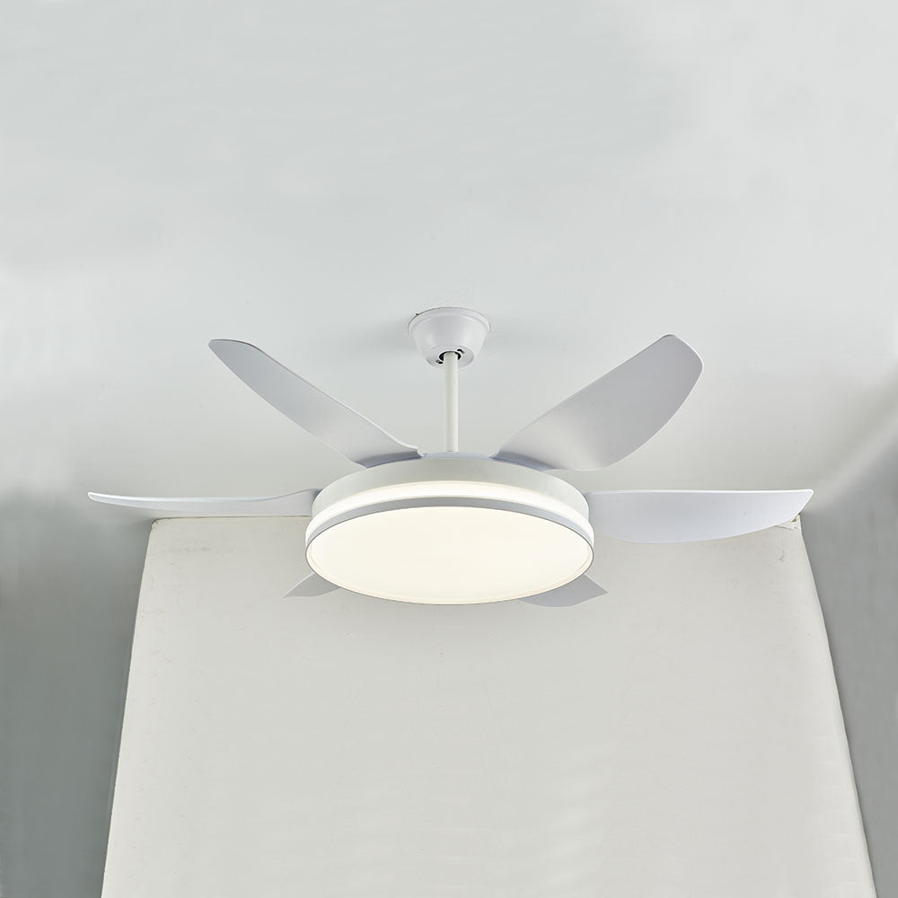 Haydn 6-Blade DC Ceiling Fan with Light, Black & White, 51'' - Lumpaz