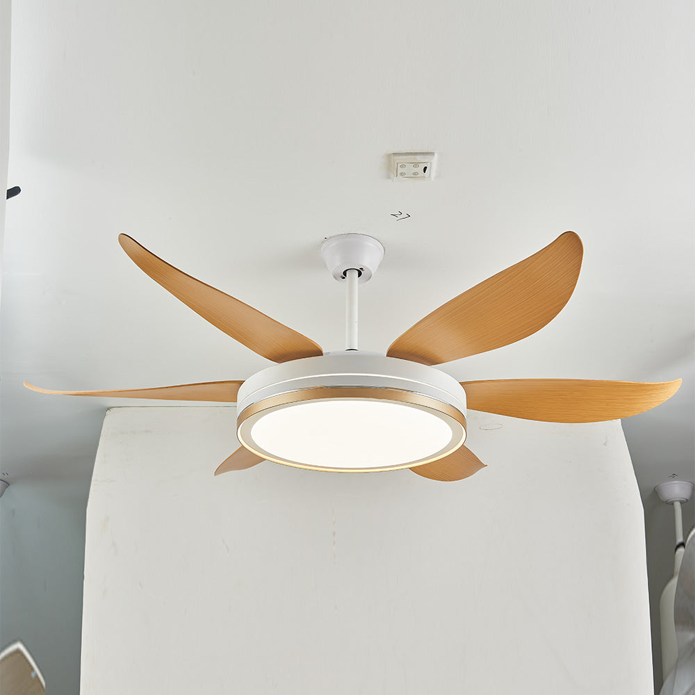 Haydn 6-Blade DC Fan with Light, Silver & Gold, Metal & Acrylic & ABS, Bedroom - Lumpaz