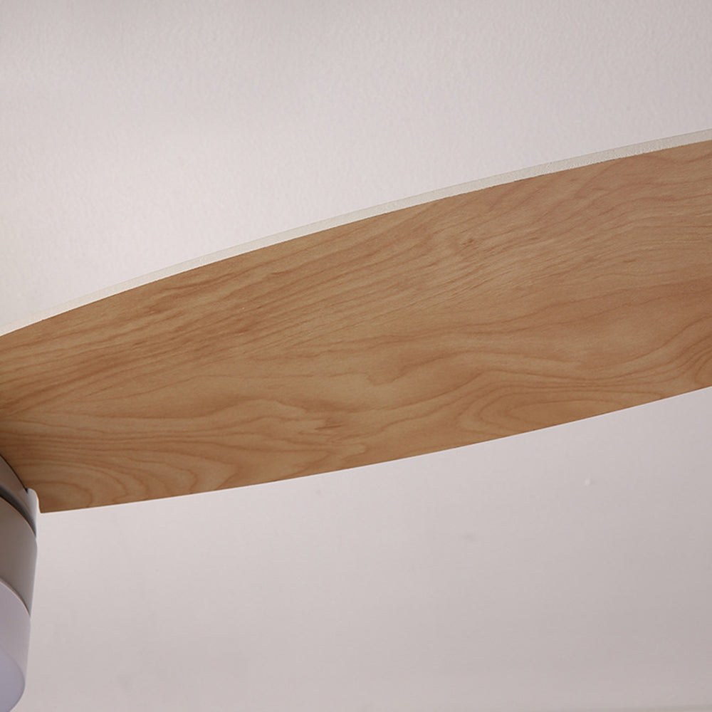 Haydn Modern Wood DC Ceiling Fan with Light, Black & White, 2 Color, 42'' - Lumpaz