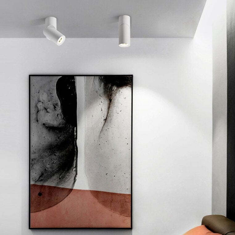 Vovak LED Rotating Flush Mount Spotlight, Black/White - Lumpaz