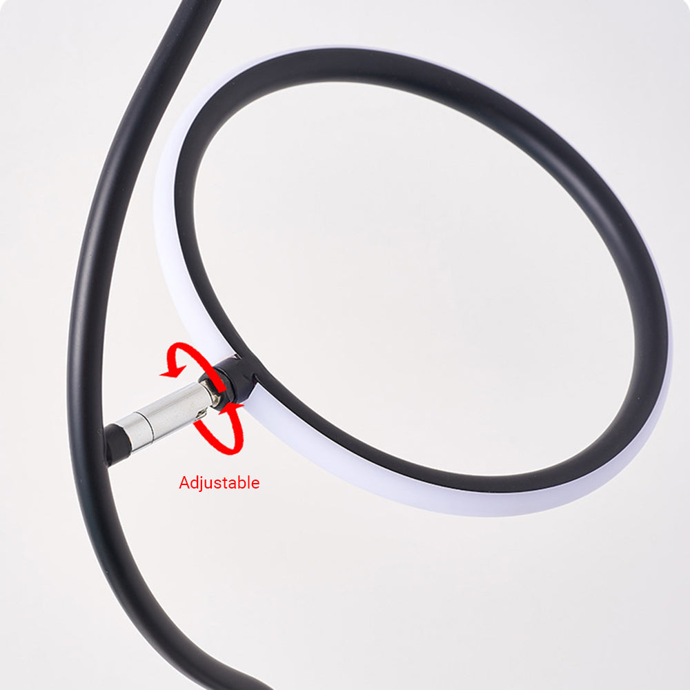 Modern Nordic Curved Acrylic/Metal Floor lamp, Black - Lumpaz