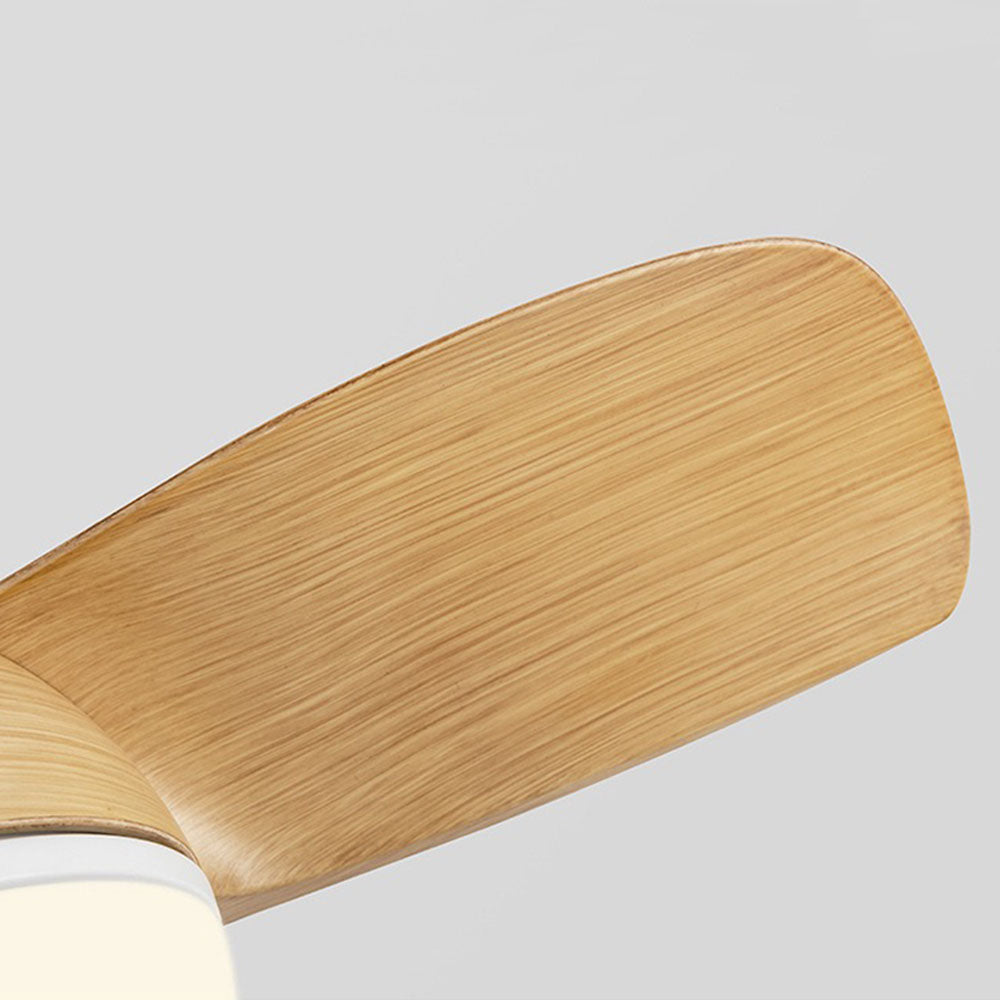 Morandi 3-Blade Basic Ceiling Fan with Light, 3 Color, 30'' - Lumpaz