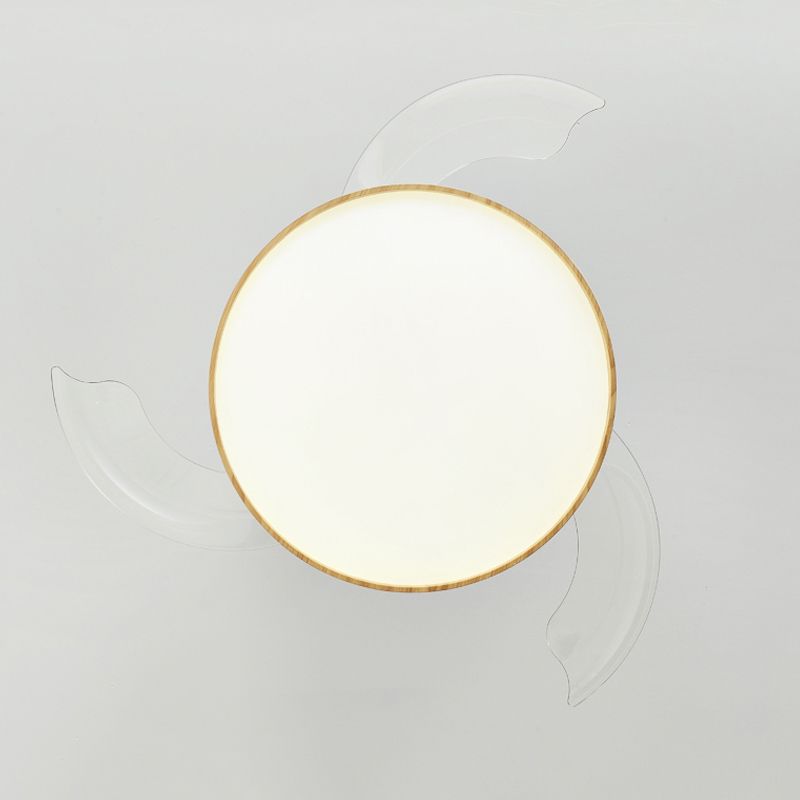 Morandi Ceiling Fan with Light, 4 Color, DIA 35.8"/42.1" - Lumpaz