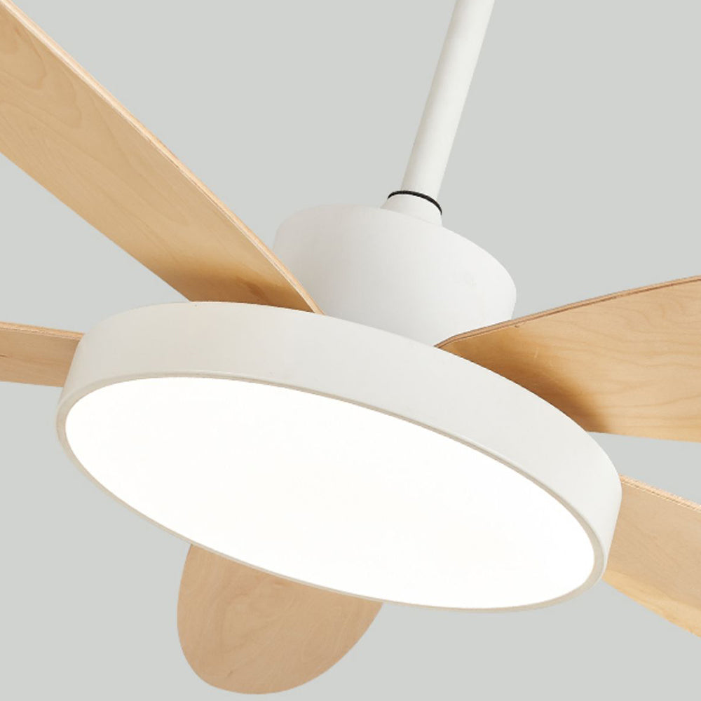 Haydn 5-Blade White & Black  DC Ceiling Fan with Light, Summer, 47.2''/51.2''/55.1'' - Lumpaz