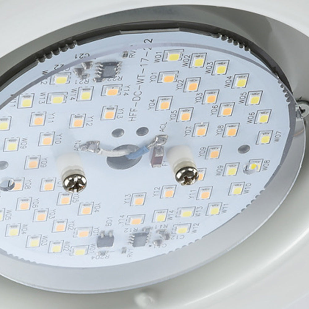 Haydn 3-Blade Black DC Ceiling Fan with Light, Metal & Wood, 52'' - Lumpaz