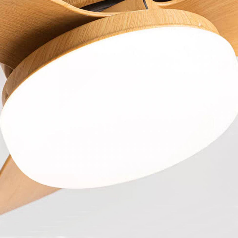 Walters 3-Blade Ceiling Fan with Light, 3 Color, DIA 23.62'' - Lumpaz