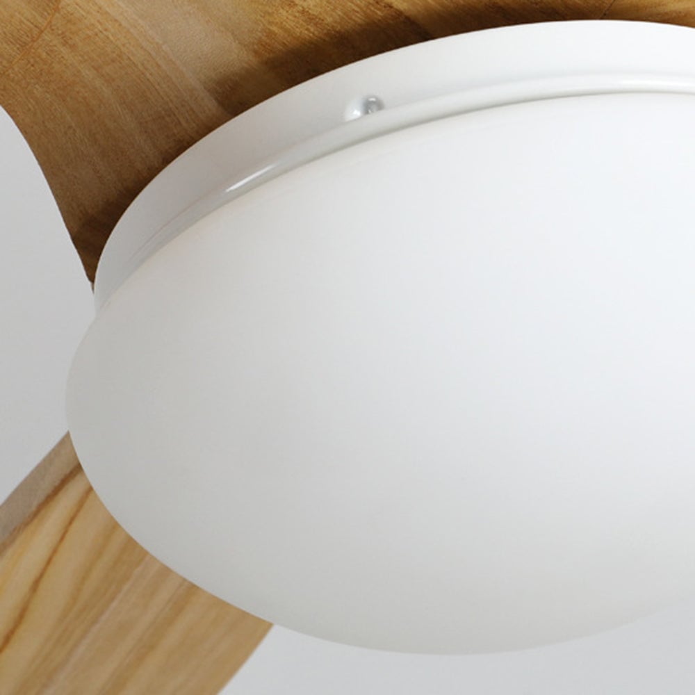 Haydn 3-Blade Modern DC Ceiling Fan, 2 Color, Metal & Wood, 52'' - Lumpaz