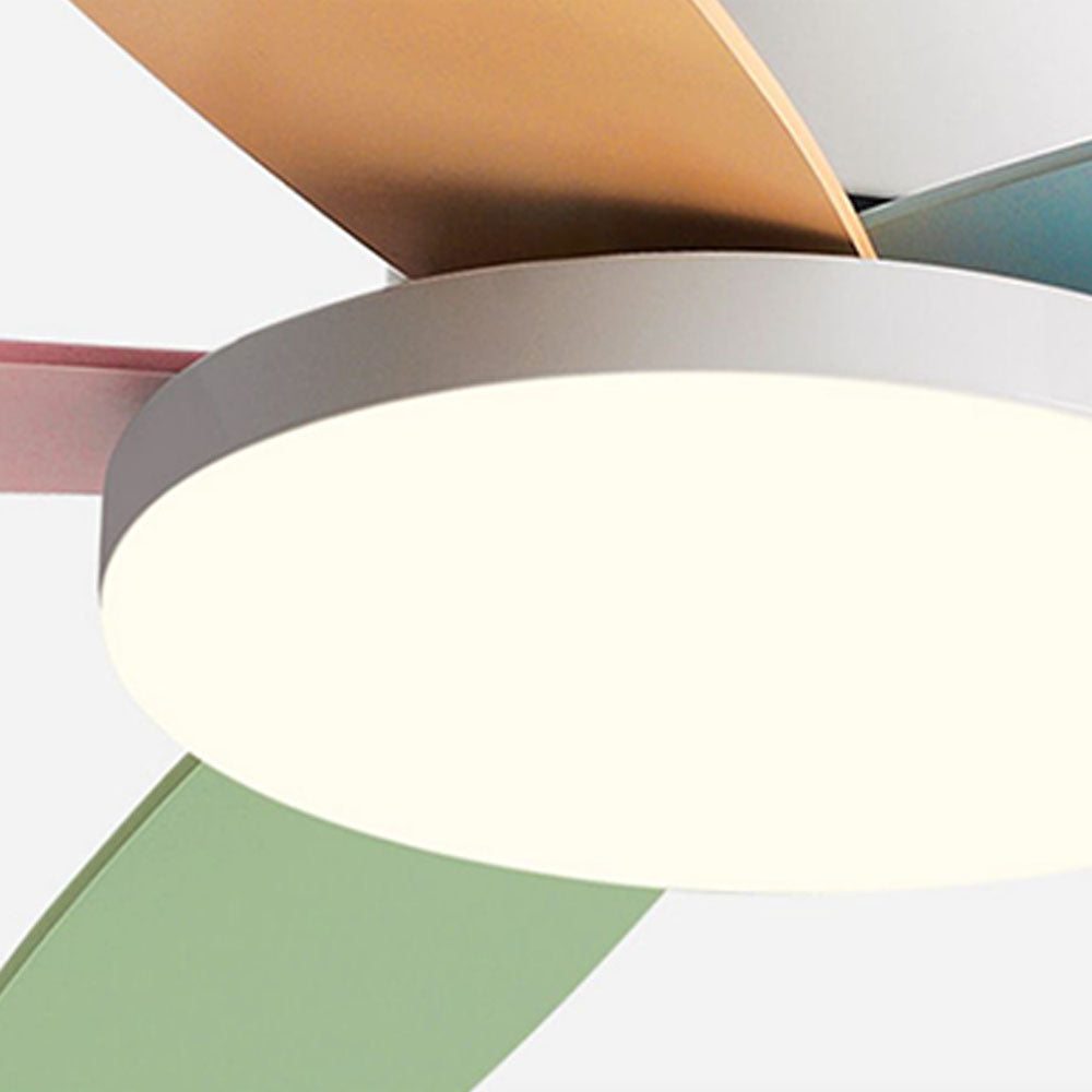 Morandi 5-Blade DC Colorful Ceiling Fan with Light, Summer, 41'' - Lumpaz