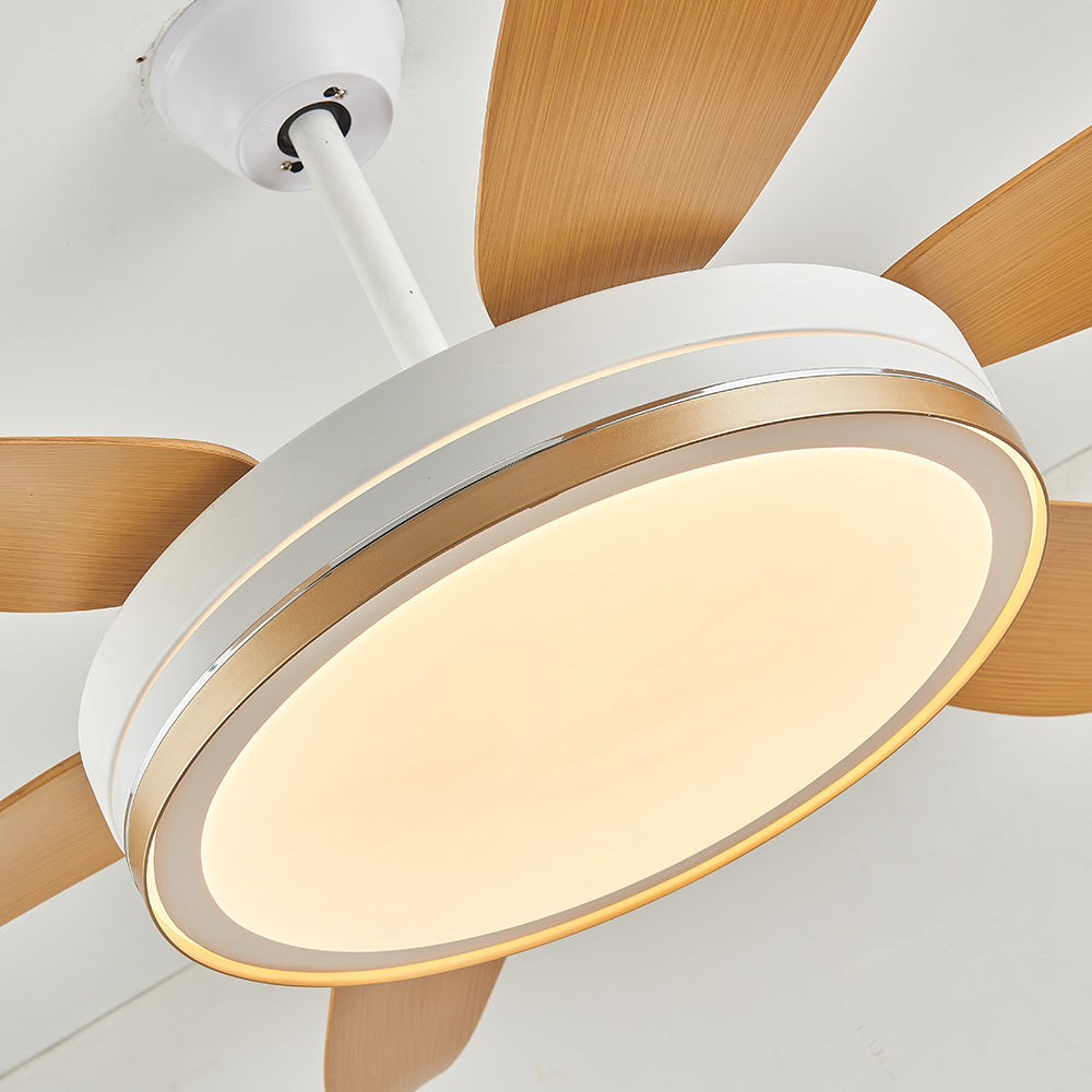 Haydn 6-Blade DC Ceiling Fan with Light, Golden & White, 51''/60'' - Lumpaz