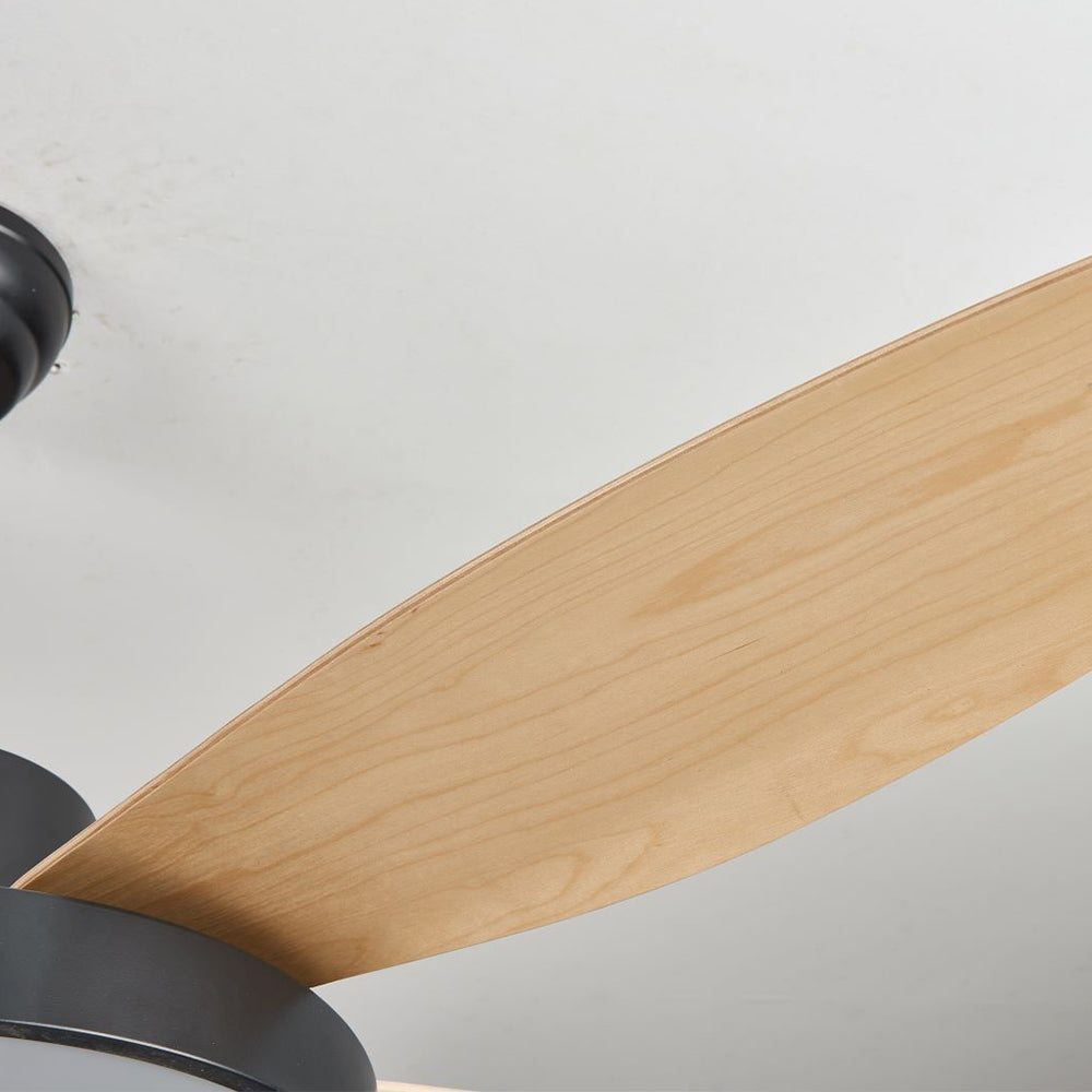 Haydn 5-Blade White & Black  DC Ceiling Fan with Light, Summer, 47.2''/51.2''/55.1'' - Lumpaz