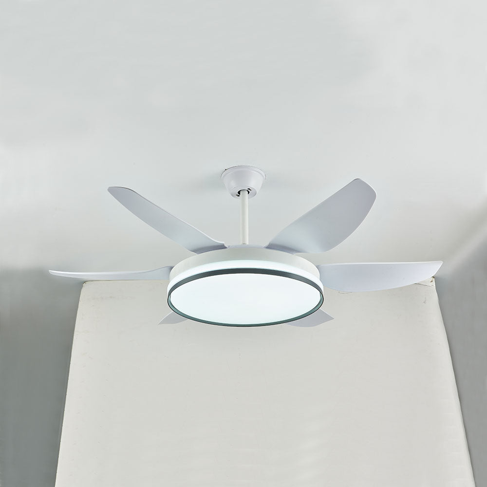 Haydn 6-Blade DC Ceiling Fan with Light, Black & White, 51'' - Lumpaz