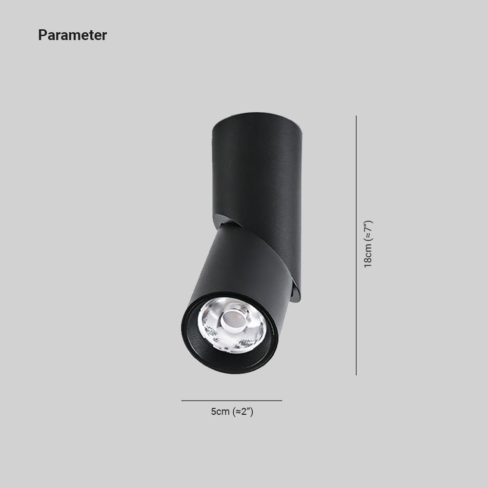 Vovak LED Rotating Flush Mount Spotlight, Black/White - Lumpaz