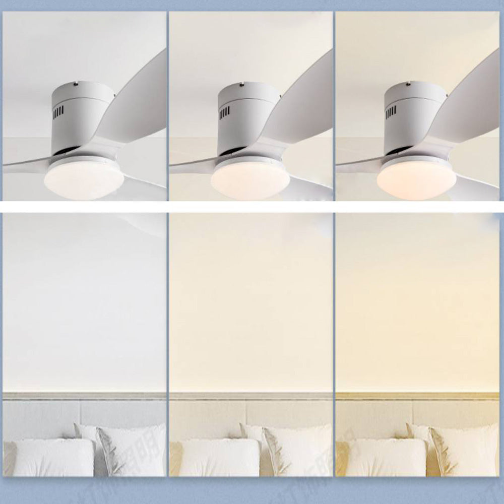 Walters 3-Blade White Ceiling Fan With Light, 2 Color, DIA 45.3'' - Lumpaz