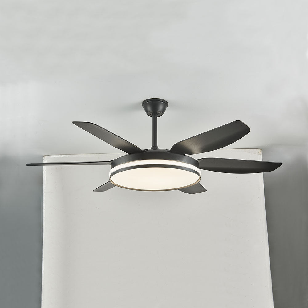 Haydn 6-Blade DC Ceiling Fan with Light, Black & White, 51'' - Lumpaz