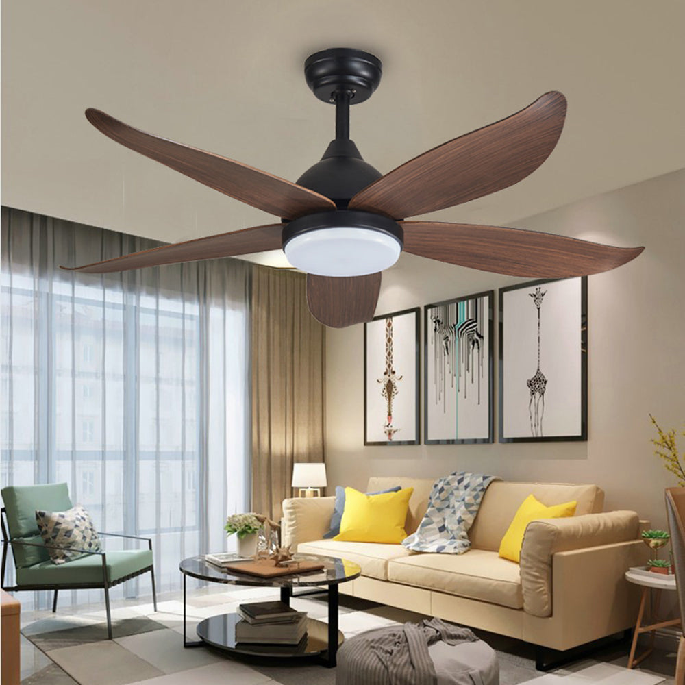 Haydn 5-Blade Modern Black DC Ceiling Fan with Light, 47'' - Lumpaz