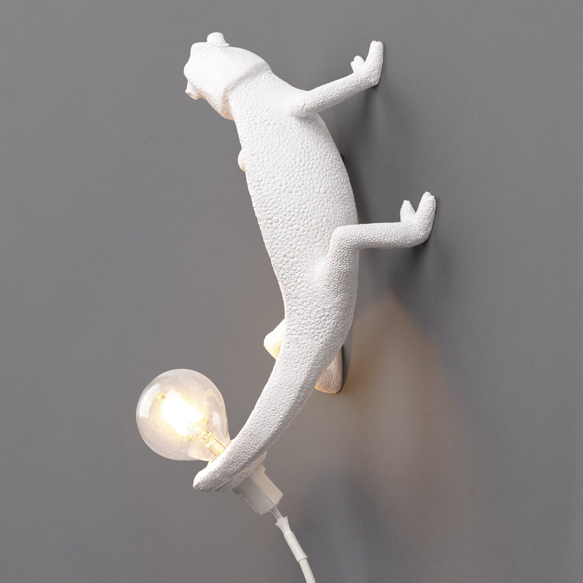 Chameleon Wall Lamp - Lumpaz