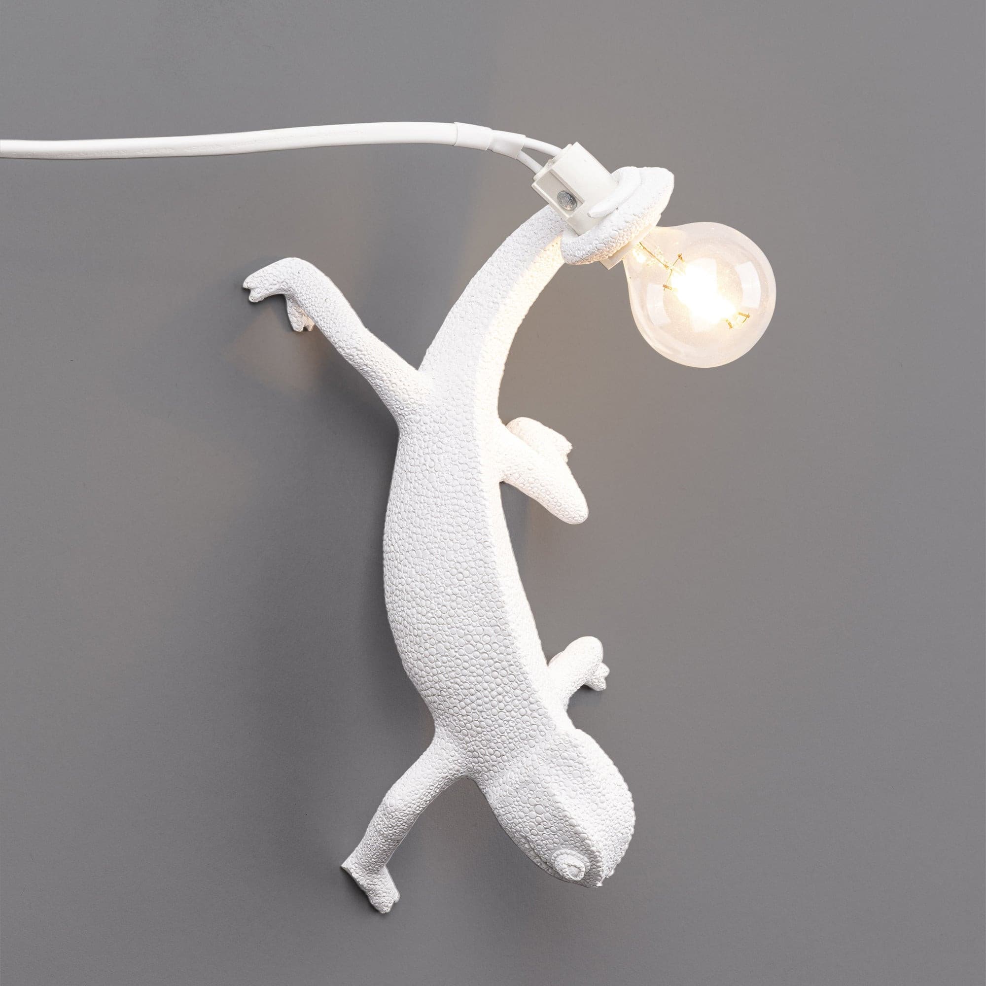 Chameleon Wall Lamp - Lumpaz