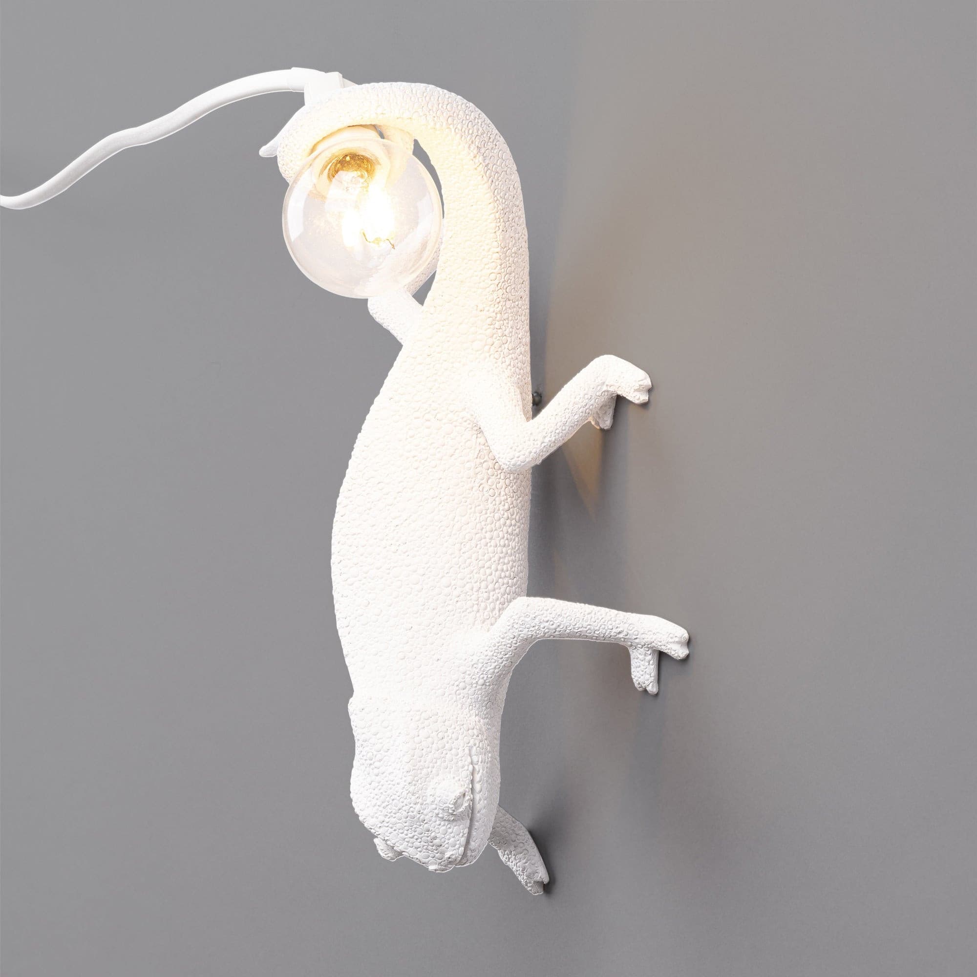 Chameleon Wall Lamp - Lumpaz
