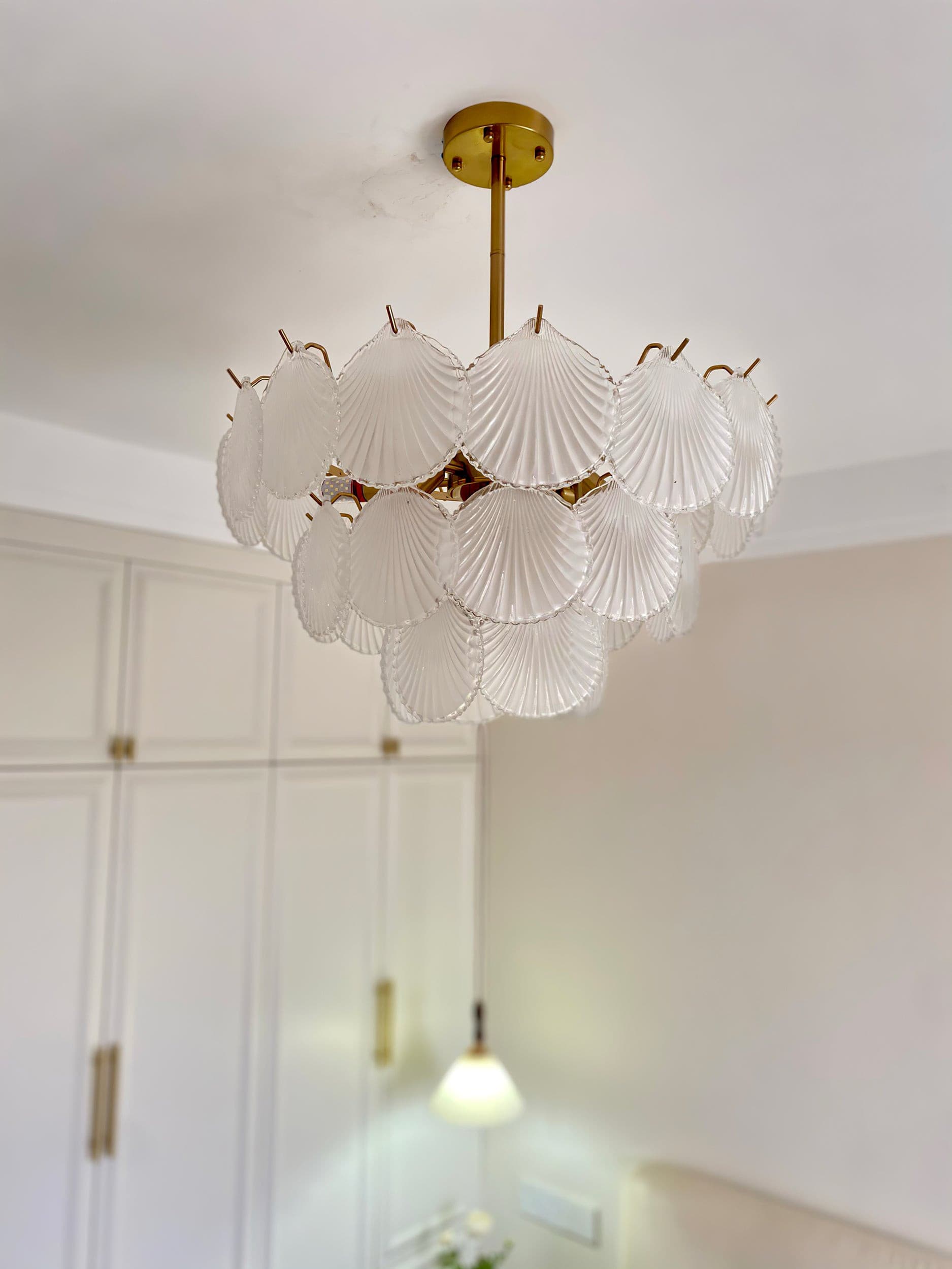 Shell Glass Chandelier - Lumpaz
