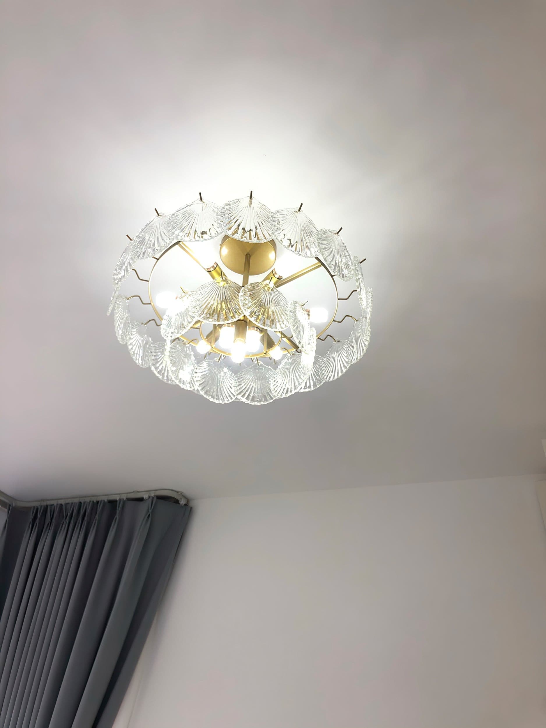 Shell Glass Chandelier - Lumpaz