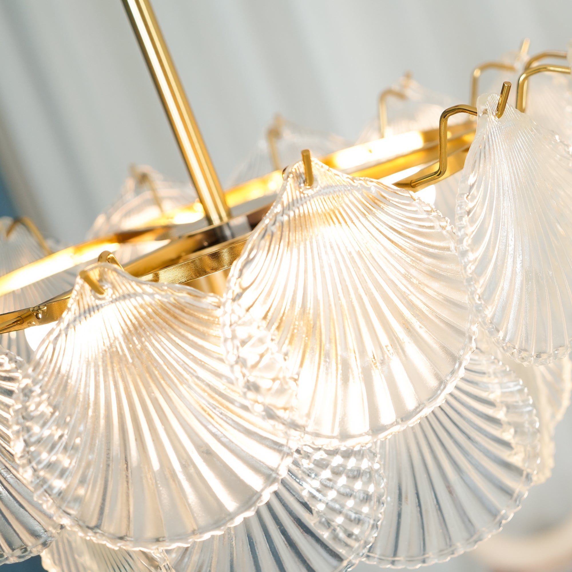 Shell Glass Chandelier - Lumpaz