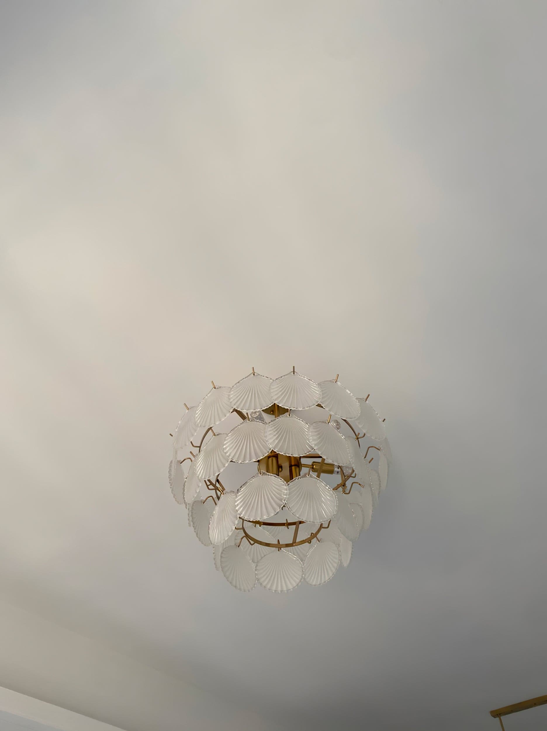 Shell Glass Chandelier - Lumpaz