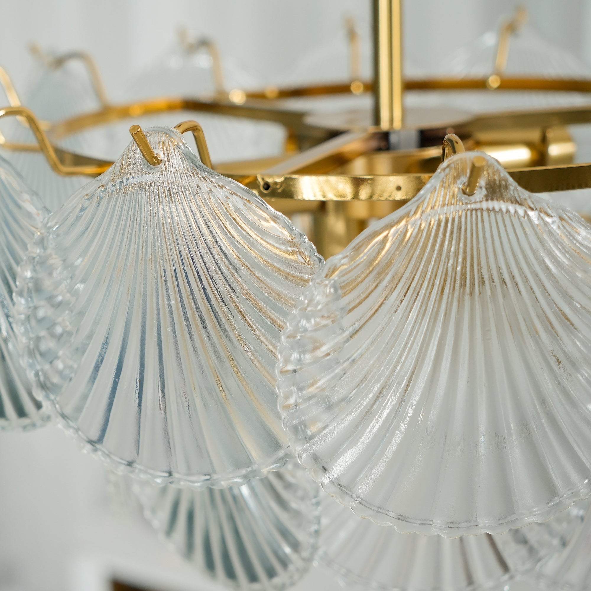 Shell Glass Chandelier - Lumpaz