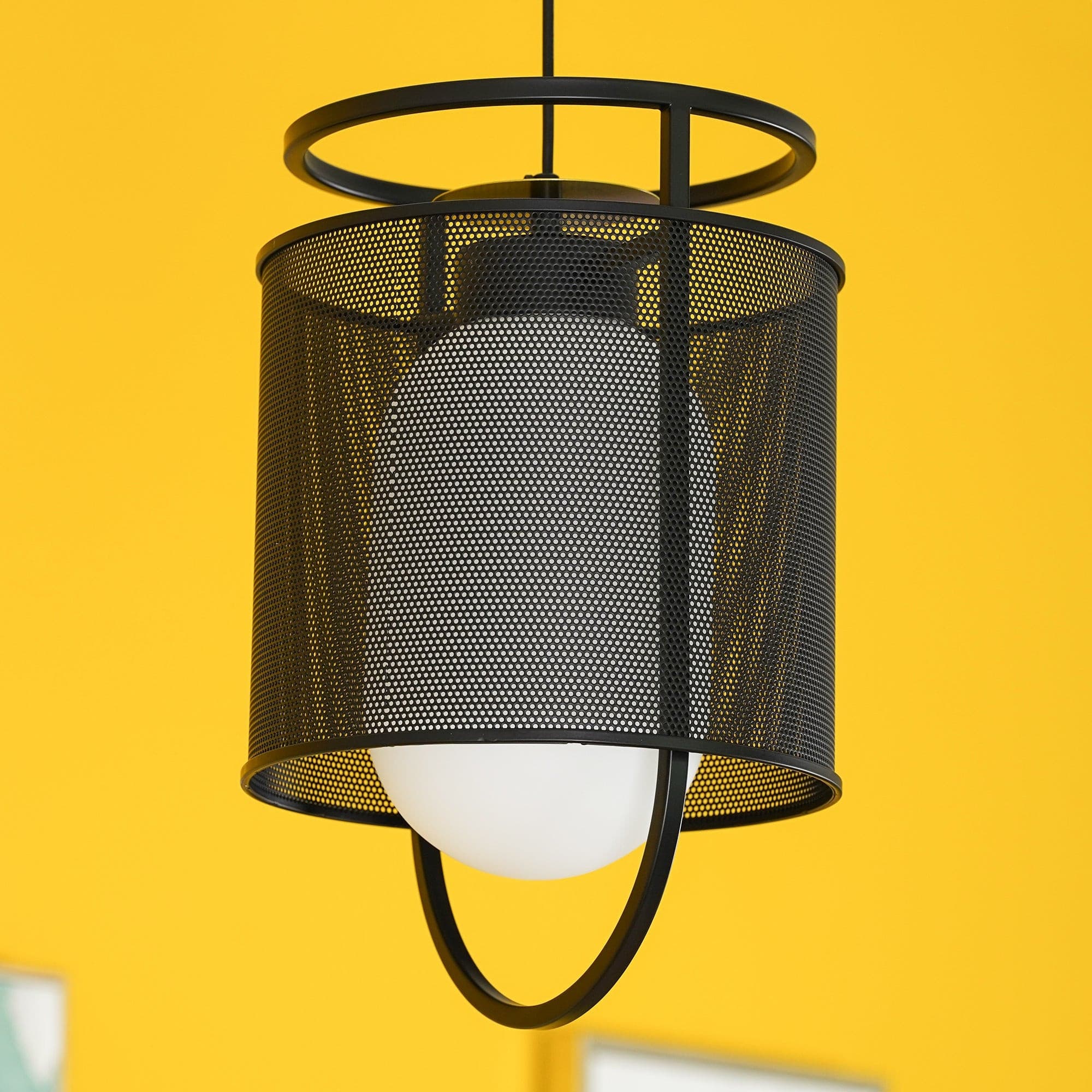 Denglong Pendant Lamp - Lumpaz