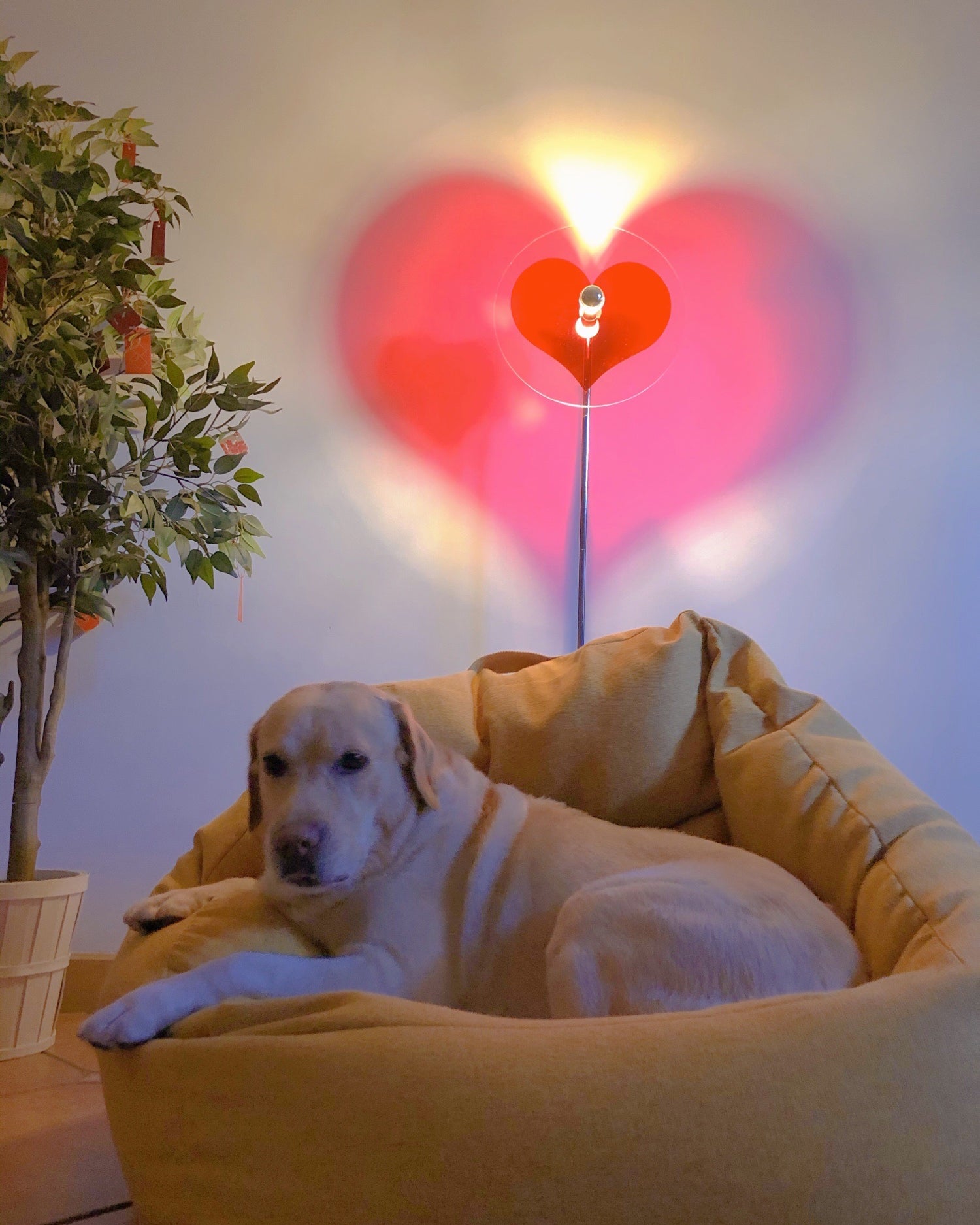 Heart Atmosphere Floor Lamp - Lumpaz