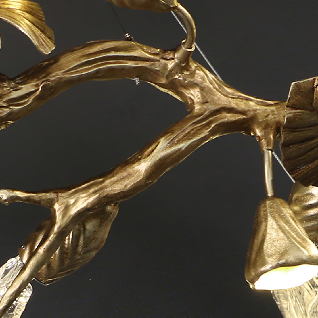 Calathea Chandelier - Lumpaz