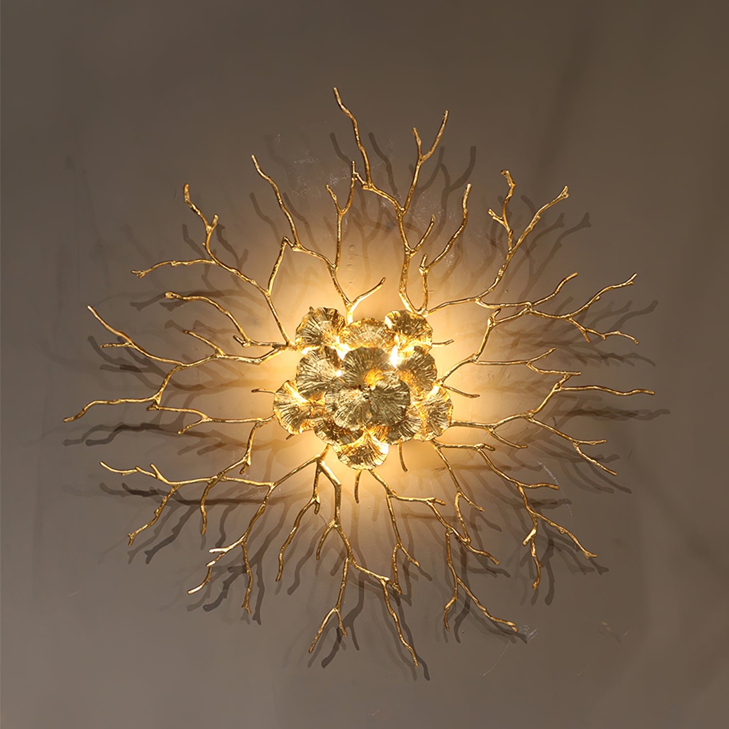 Coral Zoa Eye Wall Lamp - Lumpaz