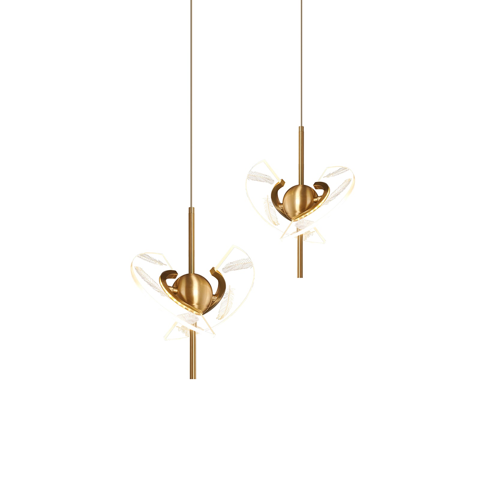 Brass Feather Pendant Lamp - Lumpaz