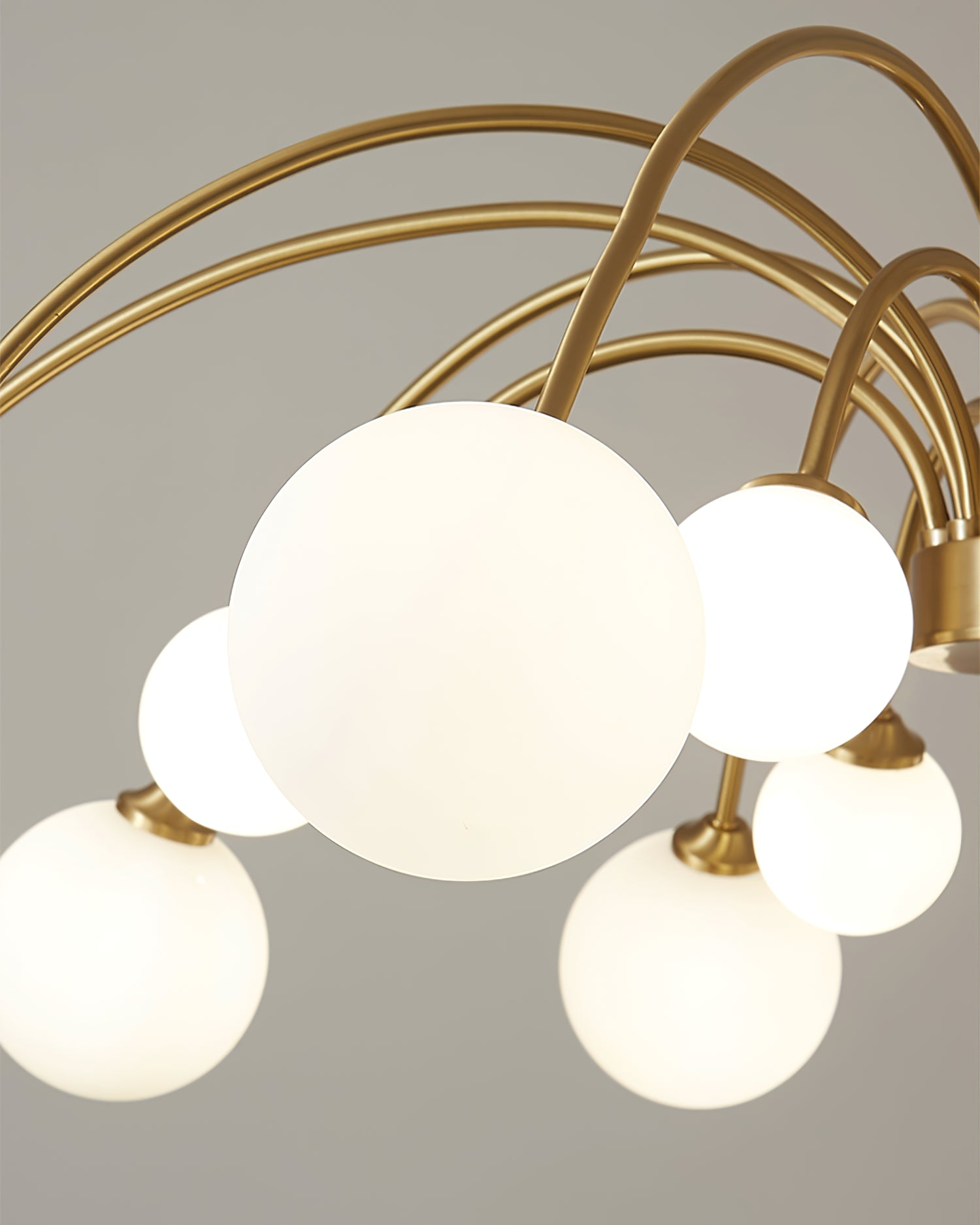 Apiales Chandelier - Lumpaz