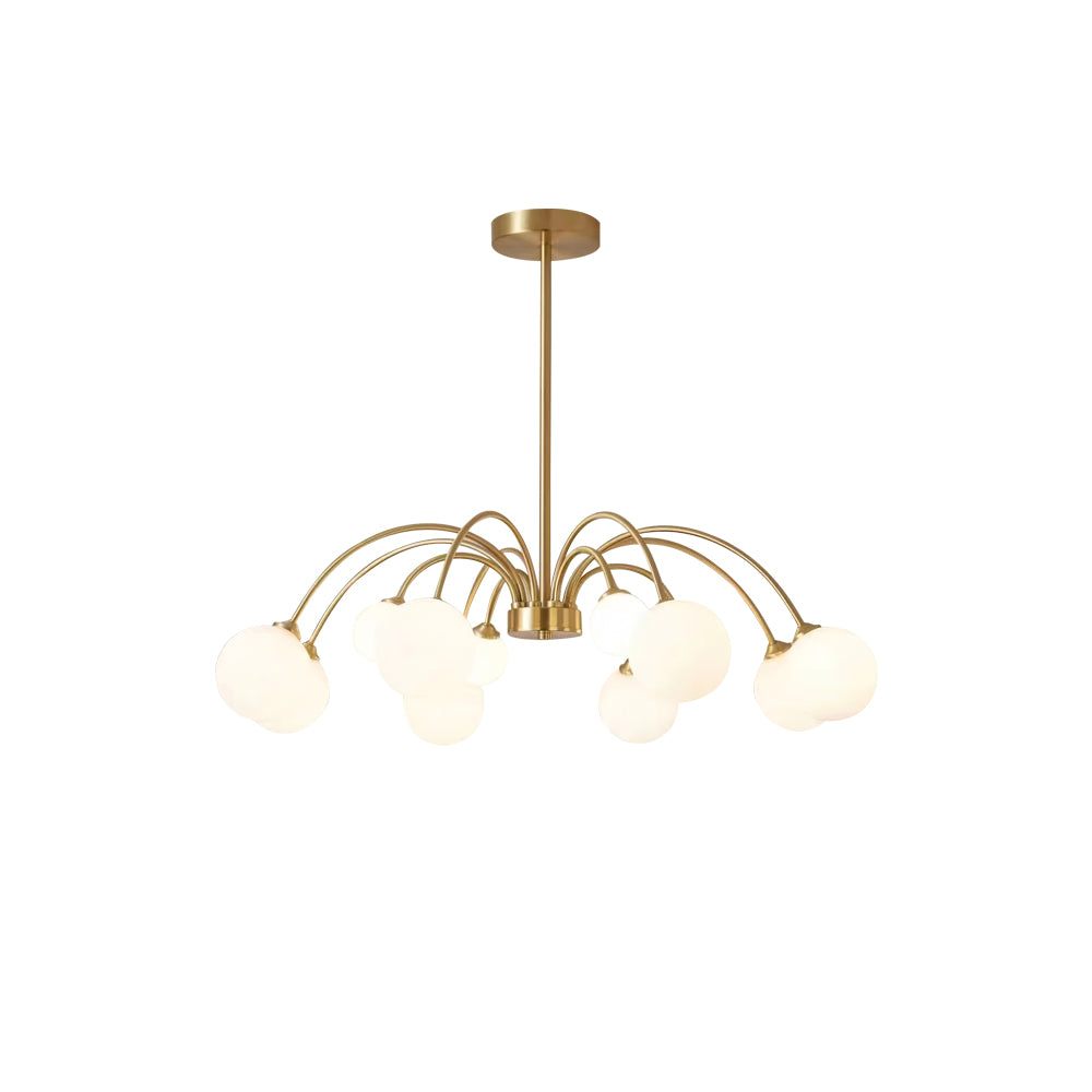 Apiales Chandelier - Lumpaz