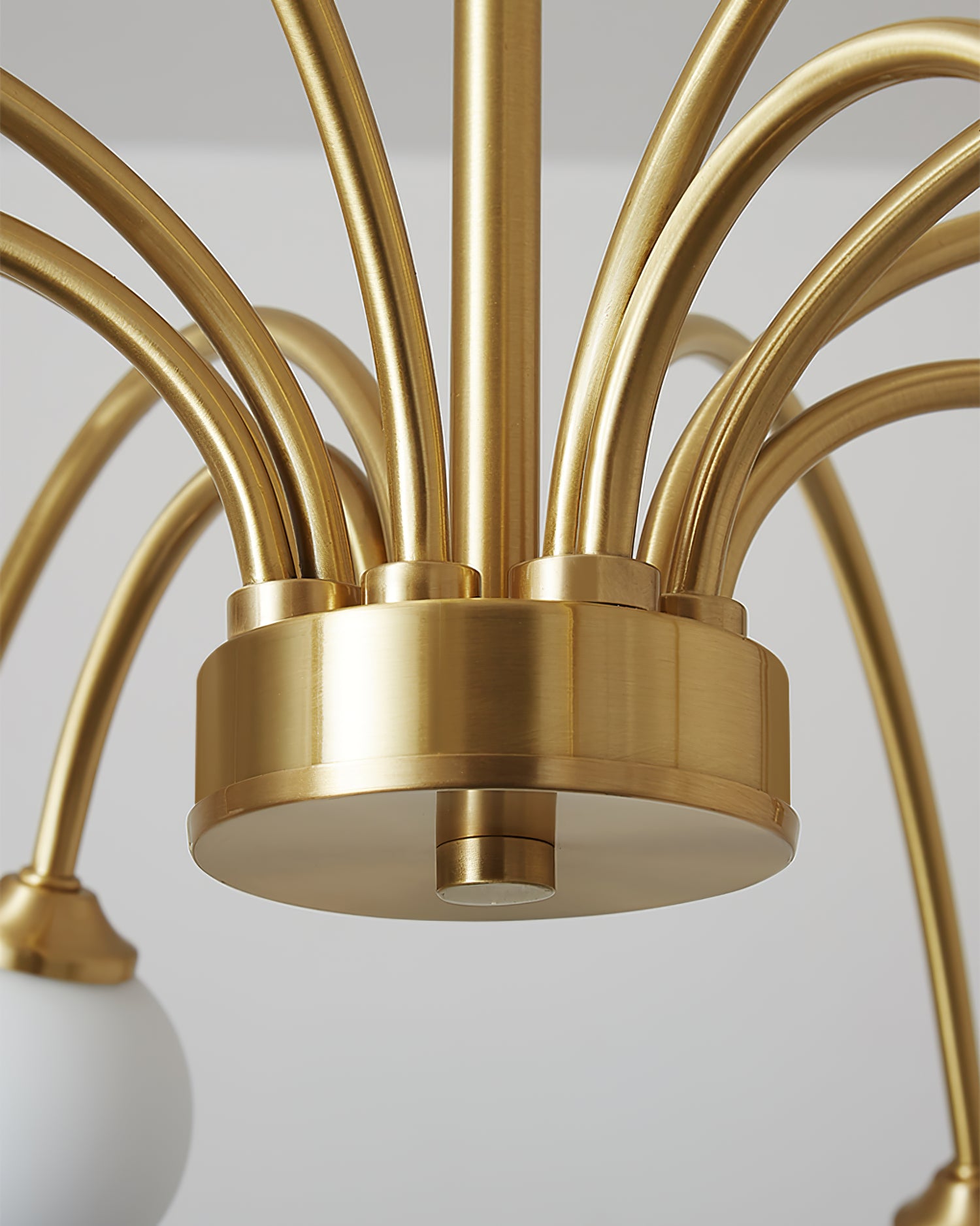 Apiales Chandelier - Lumpaz