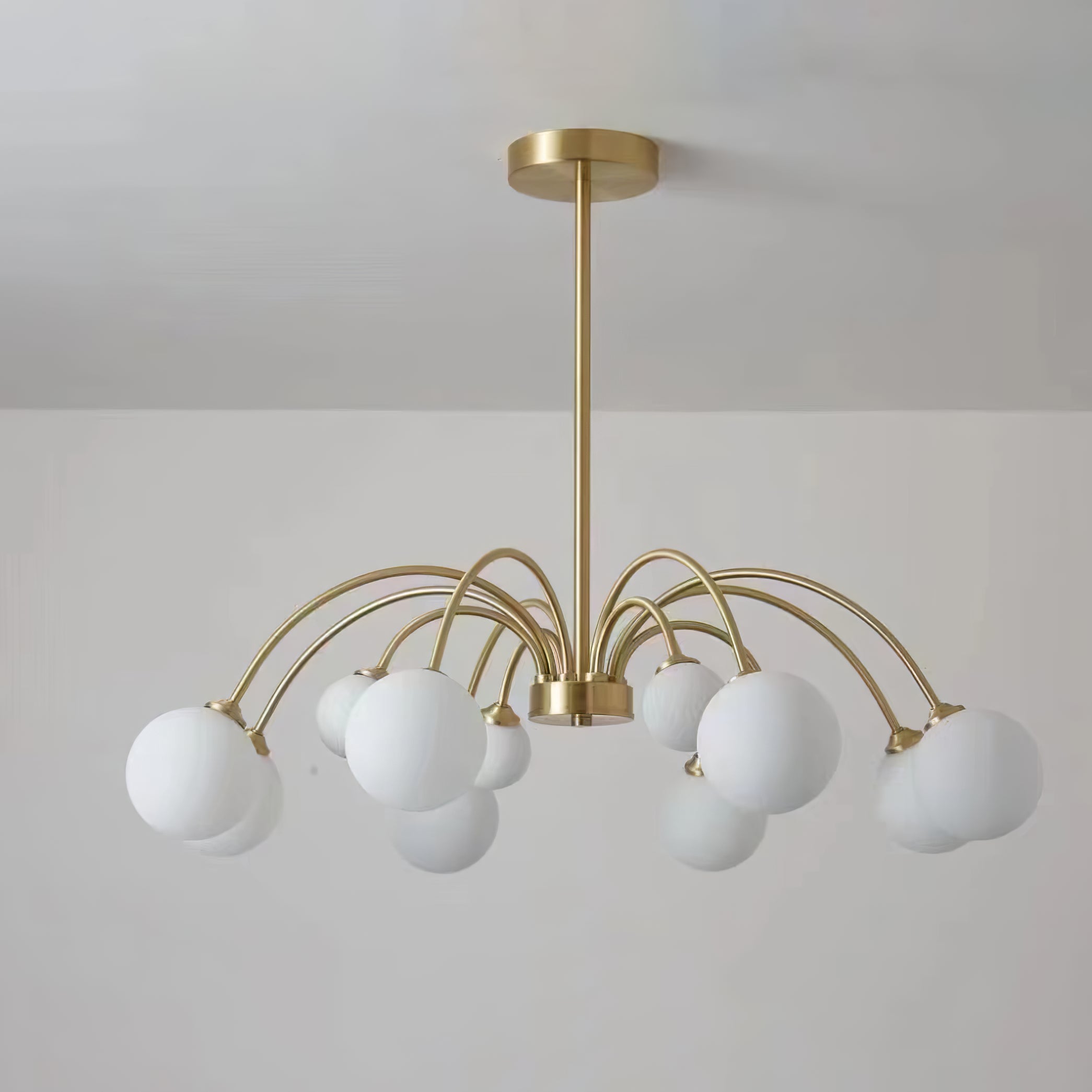 Apiales Chandelier - Lumpaz