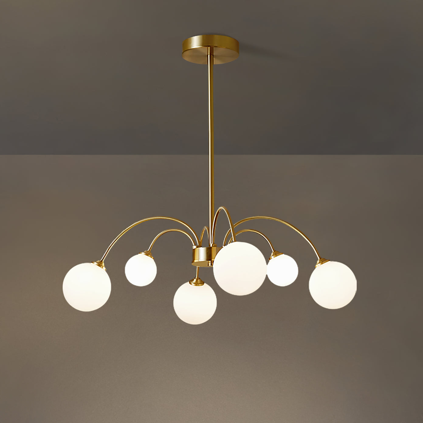 Apiales Chandelier - Lumpaz