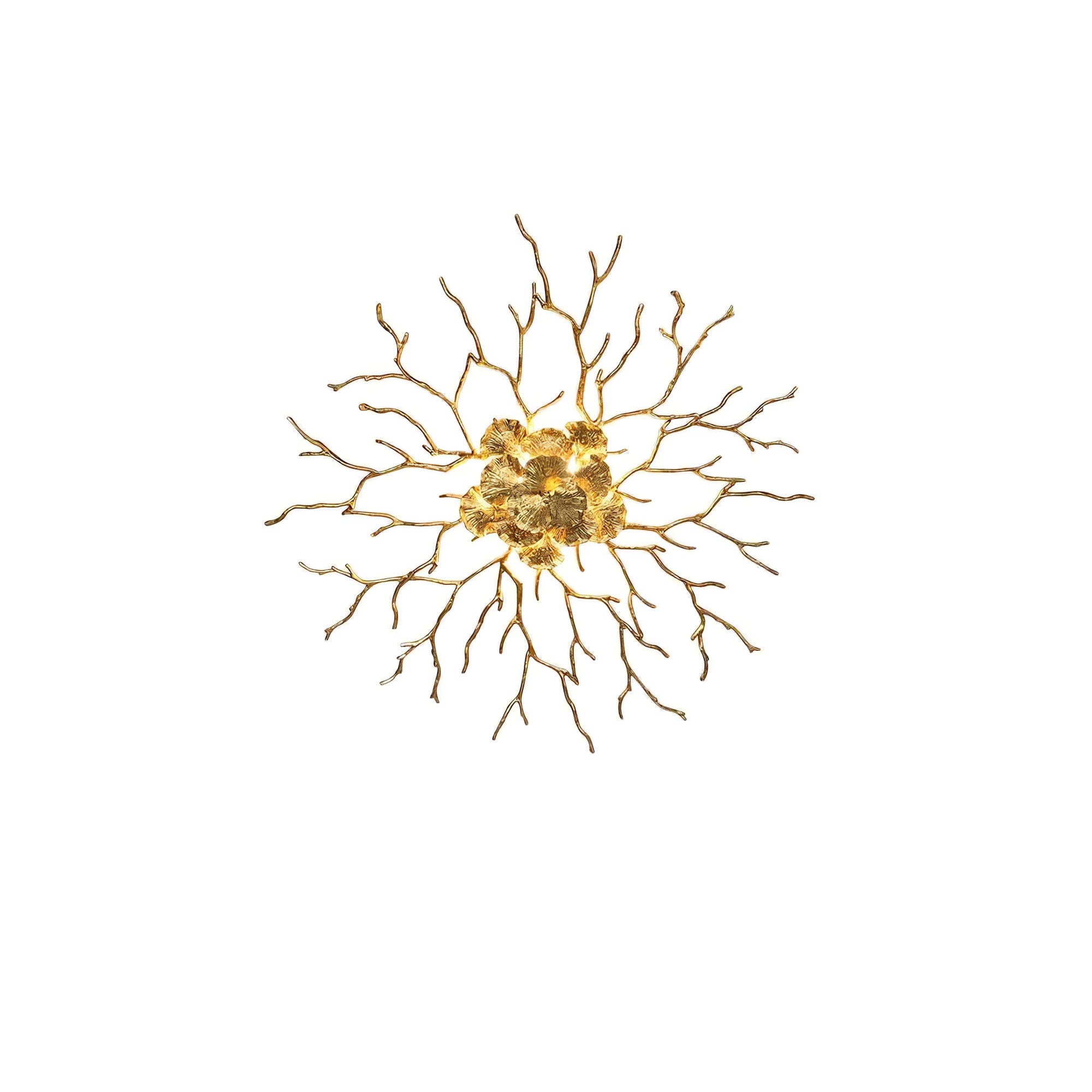 Coral Zoa Eye Wall Lamp - Lumpaz