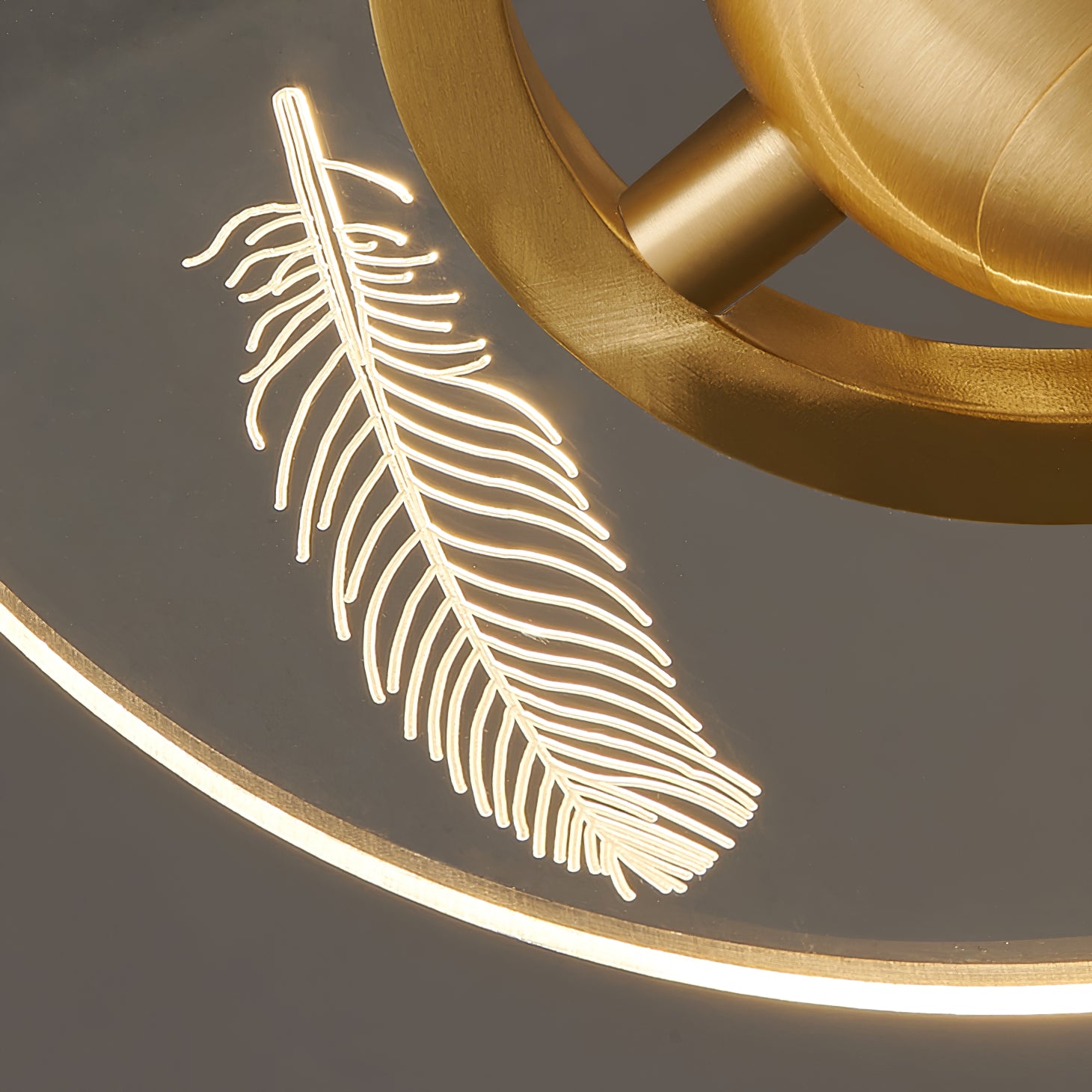 Brass Feather Pendant Lamp - Lumpaz