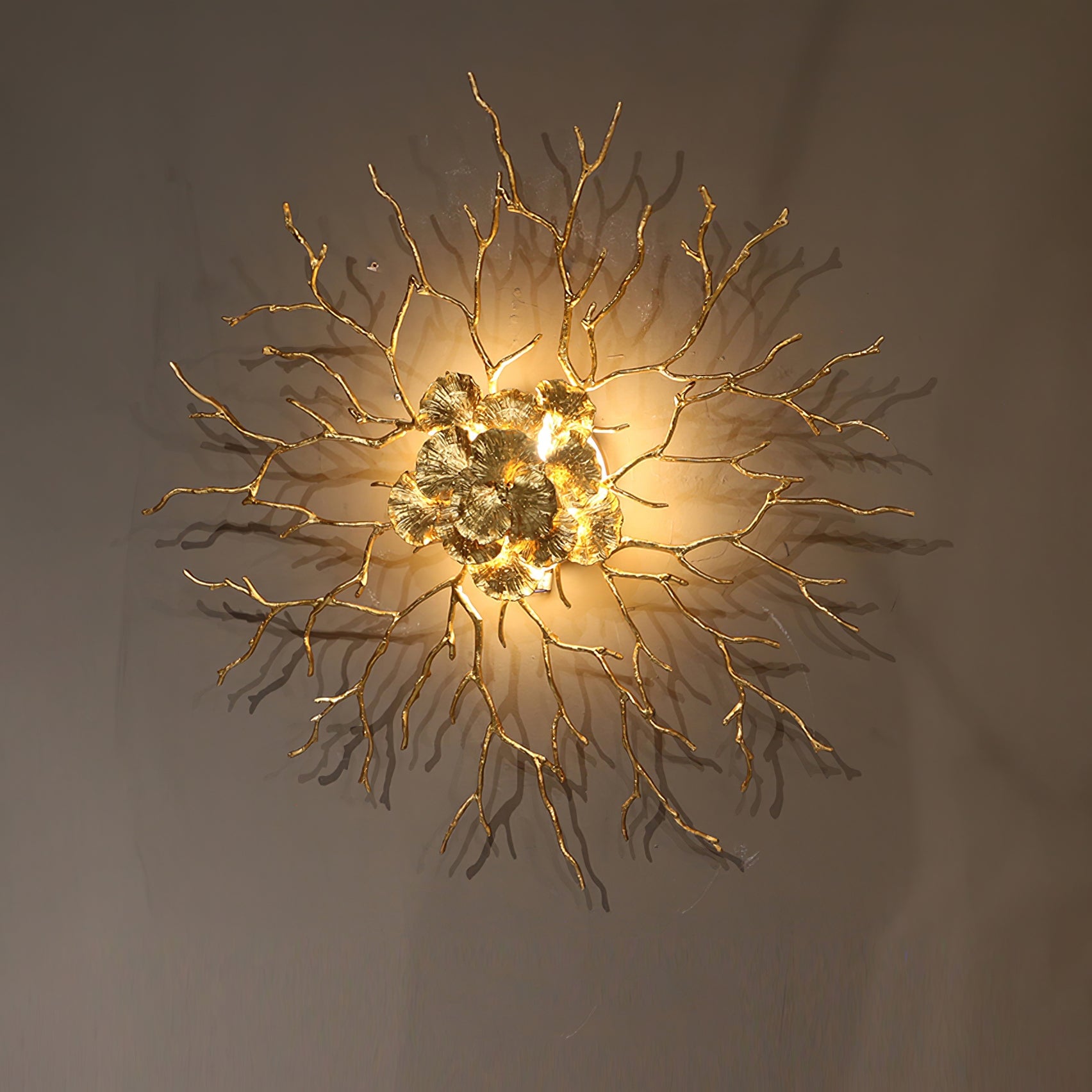 Coral Zoa Eye Wall Lamp - Lumpaz