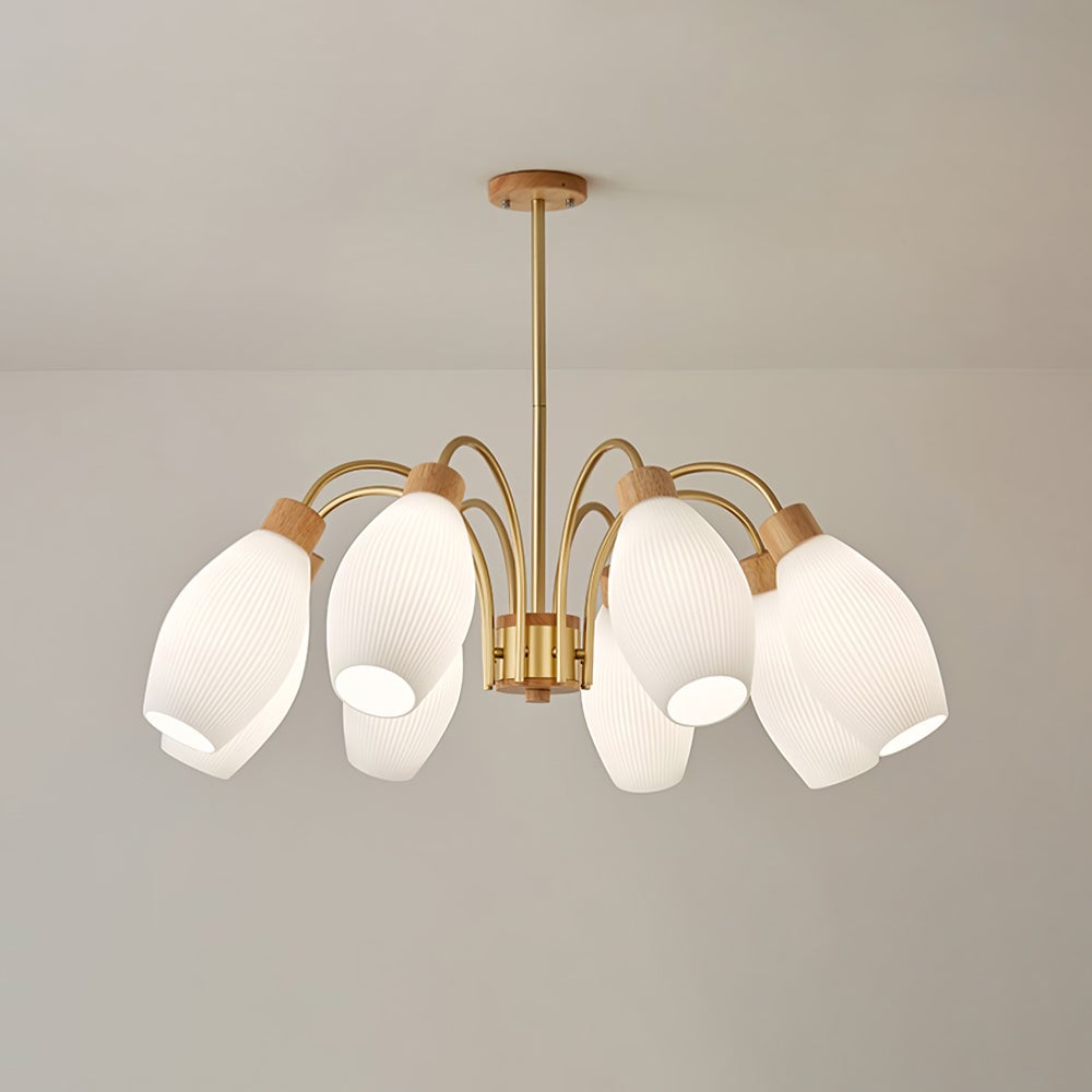 Petaluma Chandelier - Lumpaz