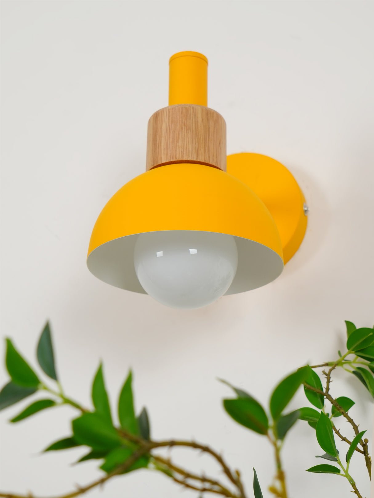 Fanta Wall Lamp - Lumpaz