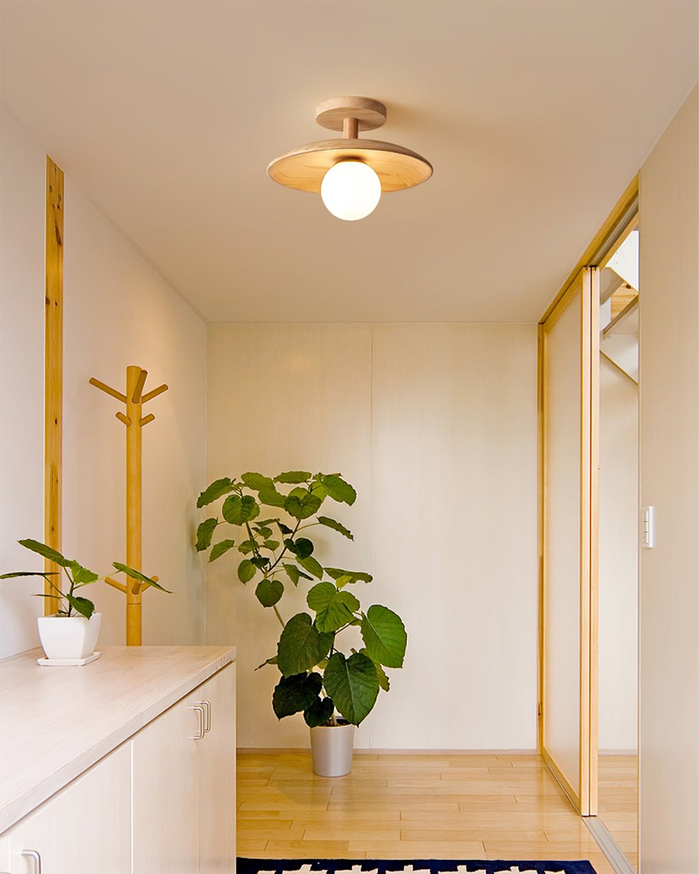 Plafon Ceiling Lamp - Lumpaz