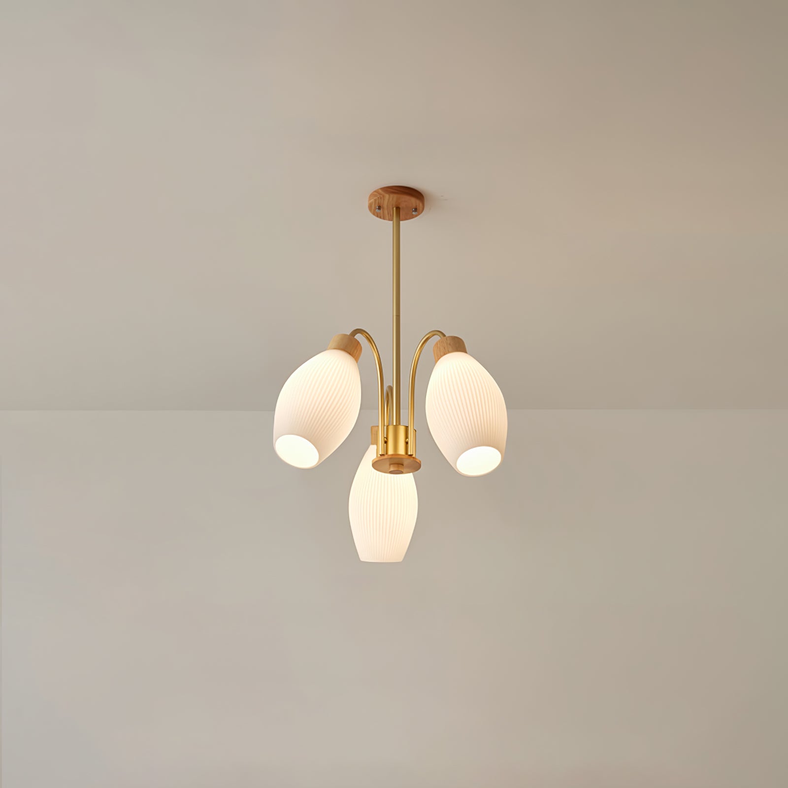 Petaluma Chandelier - Lumpaz